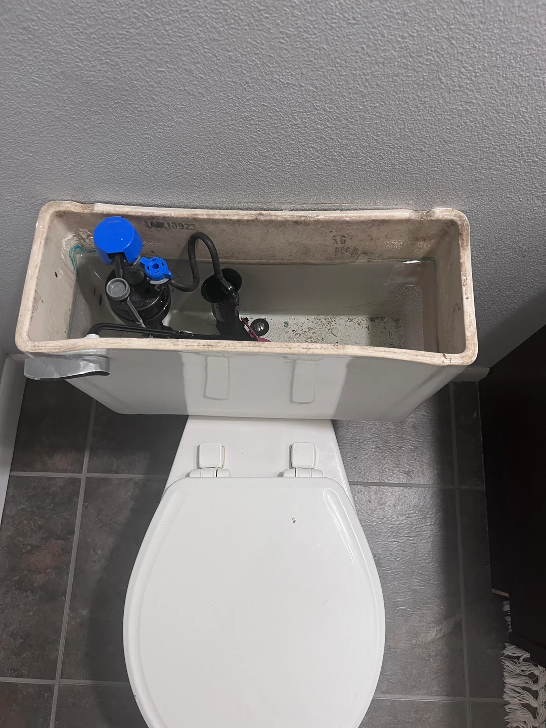 Toilet tank with lid removed